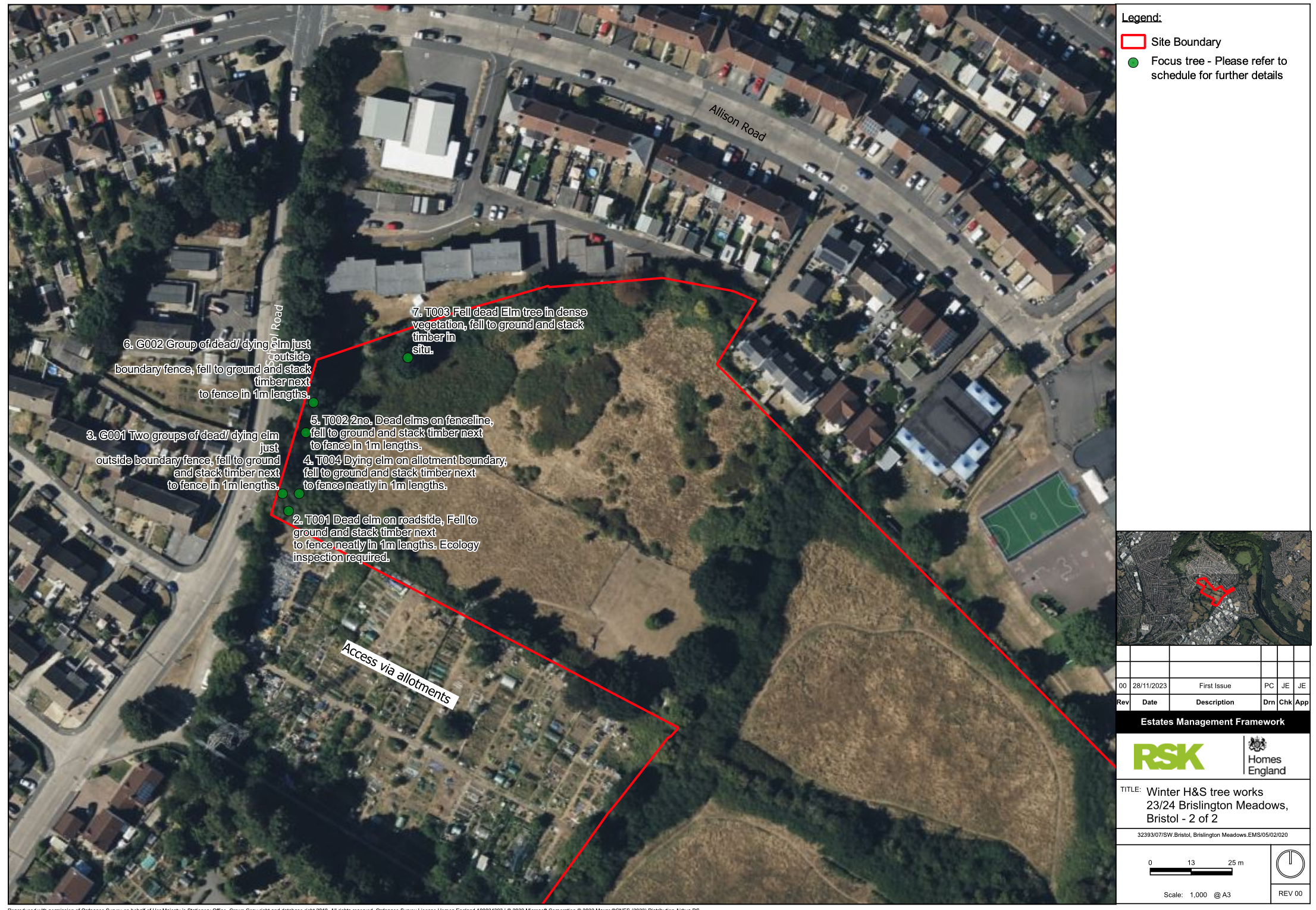 Site plan showing trees close to School Road